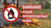На территории Красноармейского района действует особый противопожарный режим