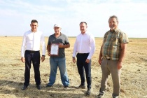 Уборка пшеницы в нашем районе подходит к концу. Заканчивают молотить и в хозяйстве «Колос»