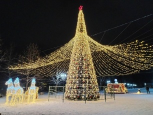 Победитель чемпионата елок: глава Полтавского сельского поселения получил награду