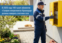 На Кубани порядка 140 тысяч приборов учета газа должны пойти поверку в 2026 году