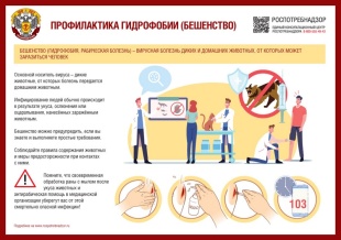 Всемирный день борьбы с бешенством!