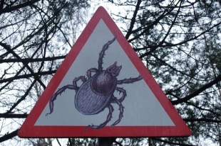 Роспотребнадзор информирует