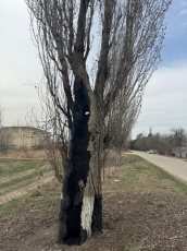 Обезопасили водителей и прохожих!