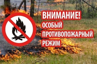 В районе введен «Особый противопожарный режим»