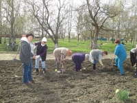 На благо жителей: продолжаем знакомить вас с лидерами ТОС