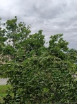 Районная ЕДДС продолжает принимать от жителей жалобы на отключение электроэнергии