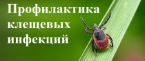 Профилактика клещевых инфекций 