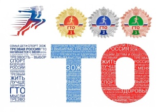 Доступность и массовость ГТО.