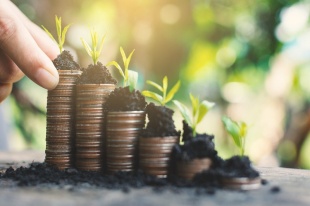 Проведение отбора на предоставление субсидий в 2024 году