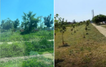 Парк привели в порядок!