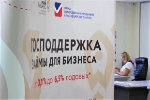 Господдержка займы для бизнеса