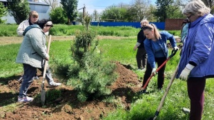 Акция «Сад памяти» прошла в хуторе Протичка. 
