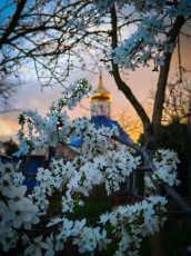 Пасхальные службы