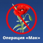 Полицейские Красноармейского района проводят II этап оперативно-профилактической операции "Мак - 2024"