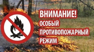 Постановление о ведении в районе противопожарного режима