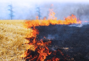 Уважаемые жители района!