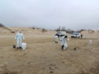 В Анапе после шторма убрали старые выбросы мазута