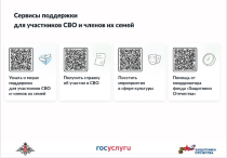 Сервисы поддержки участников СВО и членов их семей