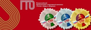 Интересные факты о ВФСК «ГТО»