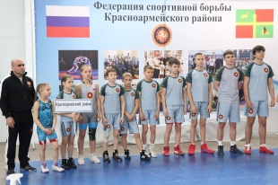 Кубок Анатолия Кривоносова