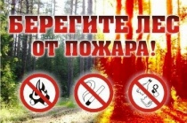 Берегите лес от пожара!
