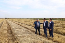 Рабочая встреча с директором Элитно-семеноводческой опытной станции «Красная» Евгением Максименко