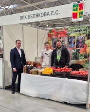 «Весенняя Кубанская ярмарка»