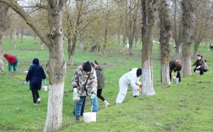 Весна – время наводить порядок