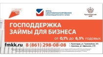  Государственная поддержка бизнеса