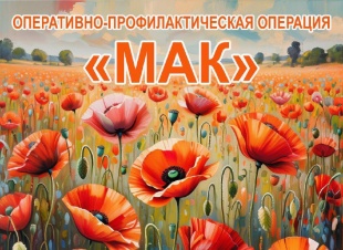 Итоги операции "Мак"