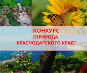 Конкурс: Природа Краснодарского края 2024