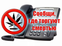 Итоги первого этапа Всероссийской акции «Сообщи, где торгуют смертью»