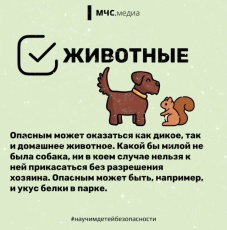 Безопасность детей — забота взрослых!