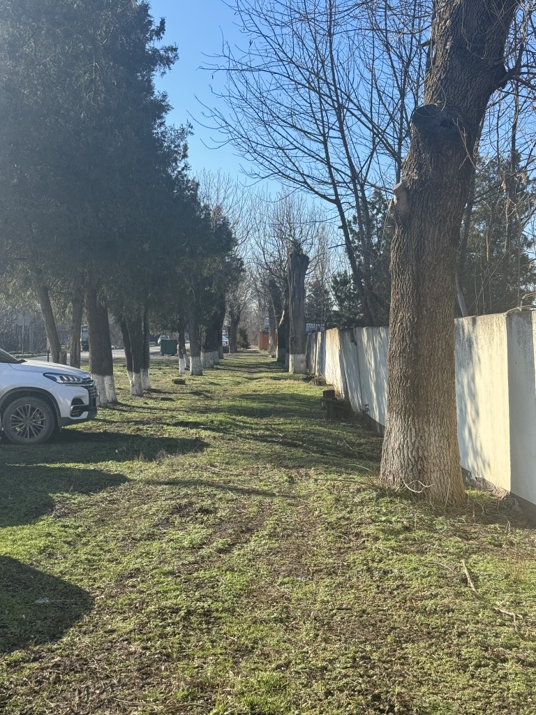 14. Тротуар по Соболя фото ДО.jpg