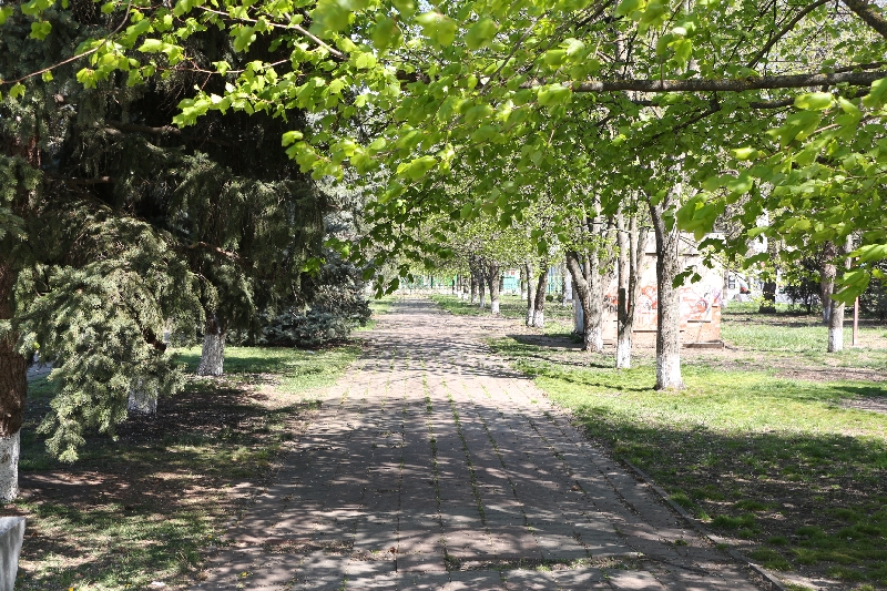 IMG_7482_КРОП.jpg