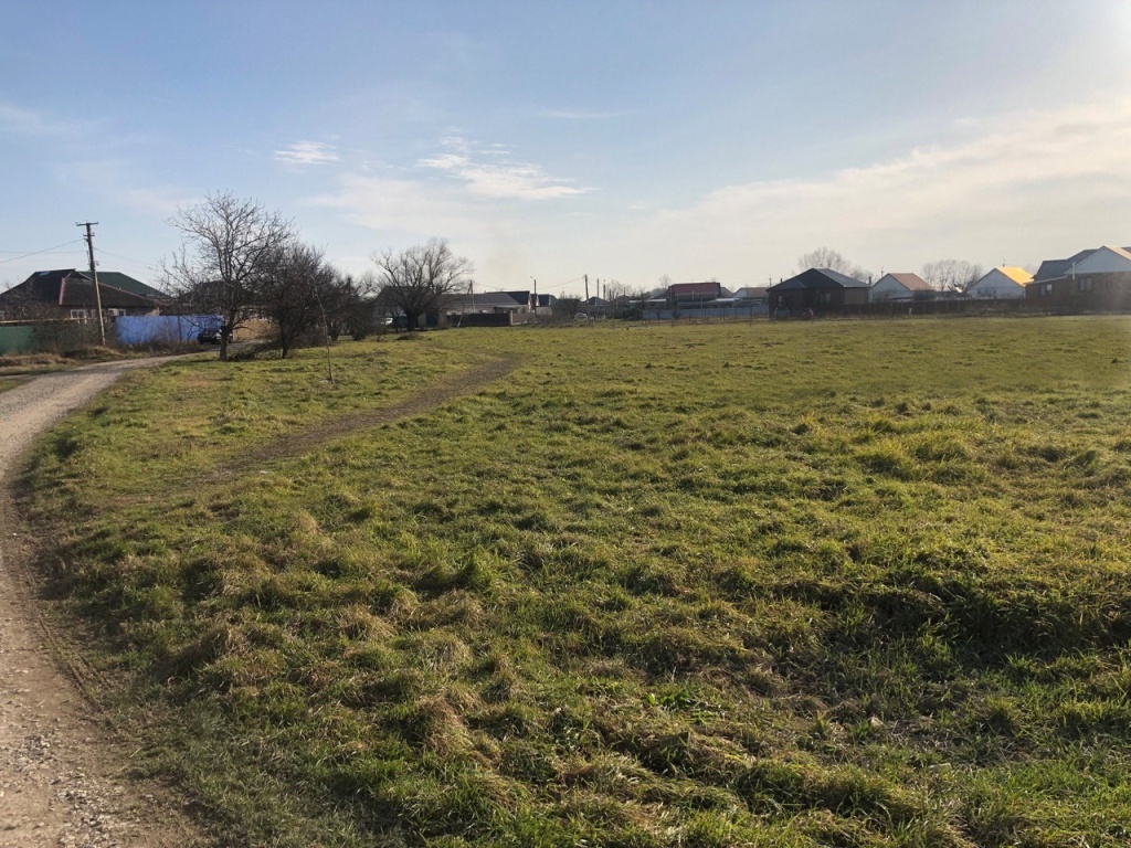 Фото до Трудобеликовское.jpg