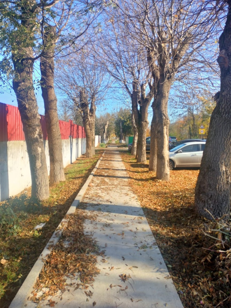 Соболя после 1.jpeg