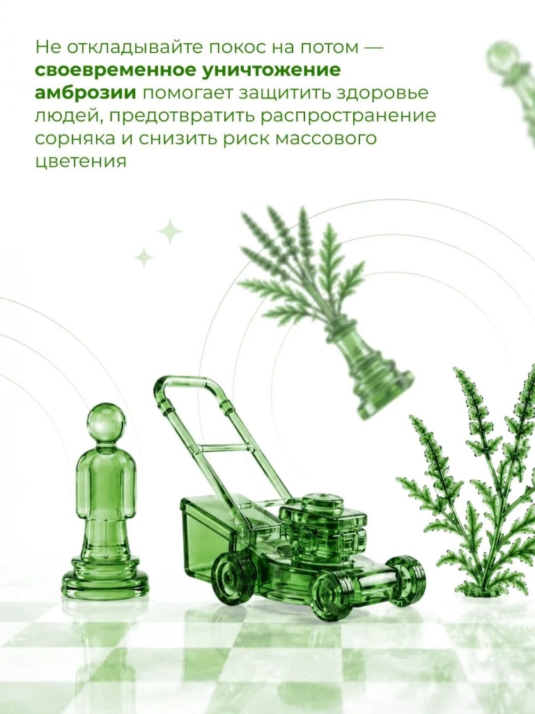 06.jpg 06.jpg