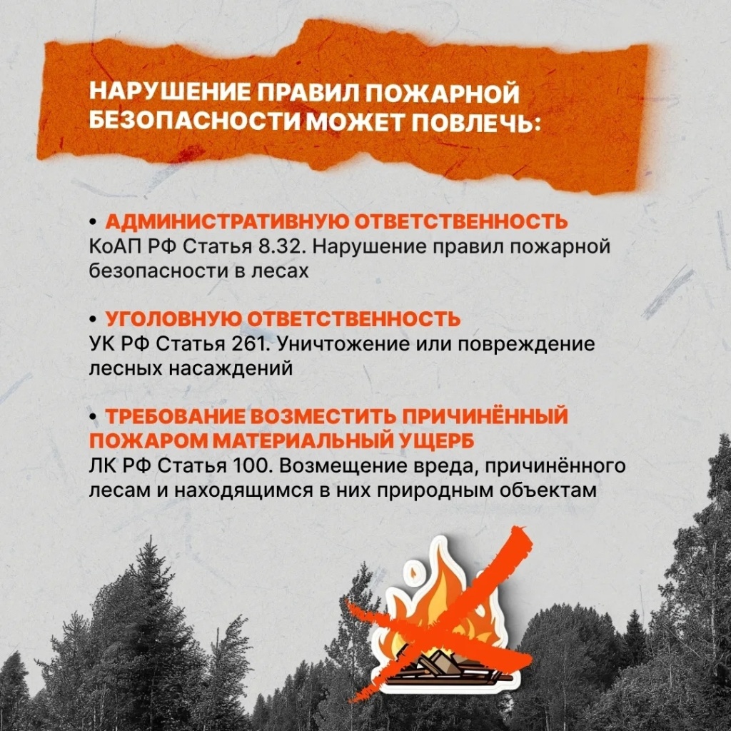 костер в лесу2 костер в лесу2