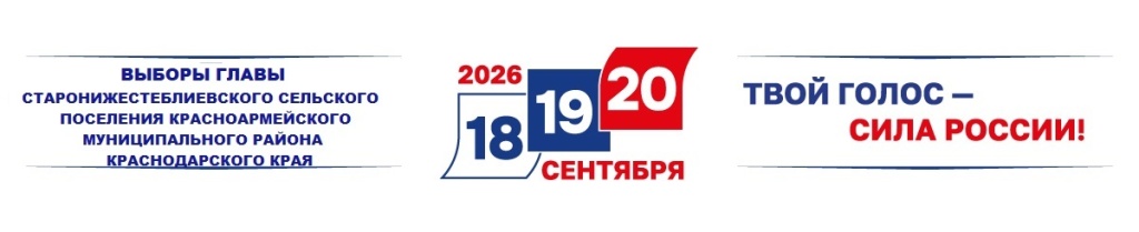 Мун выборы.jpg