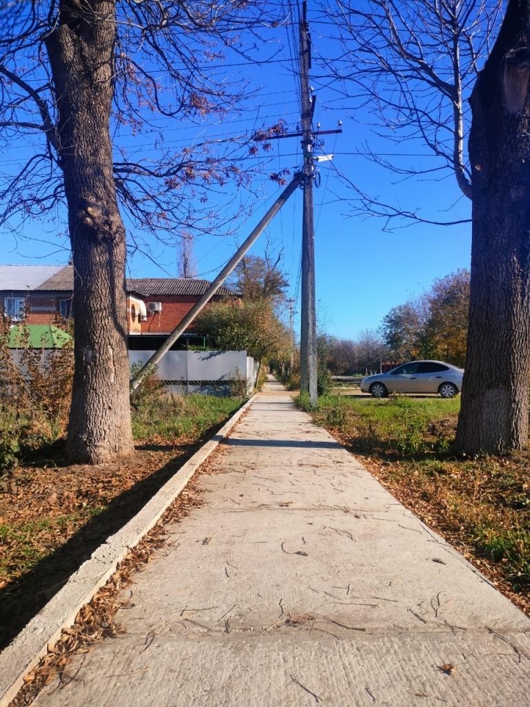 Соболя после 2.jpeg