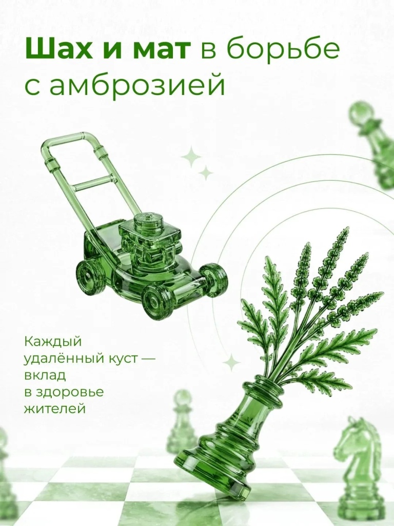 01.jpg 01.jpg